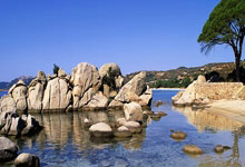 LOL投注官网 -赛博朋克2077怎么睡路人